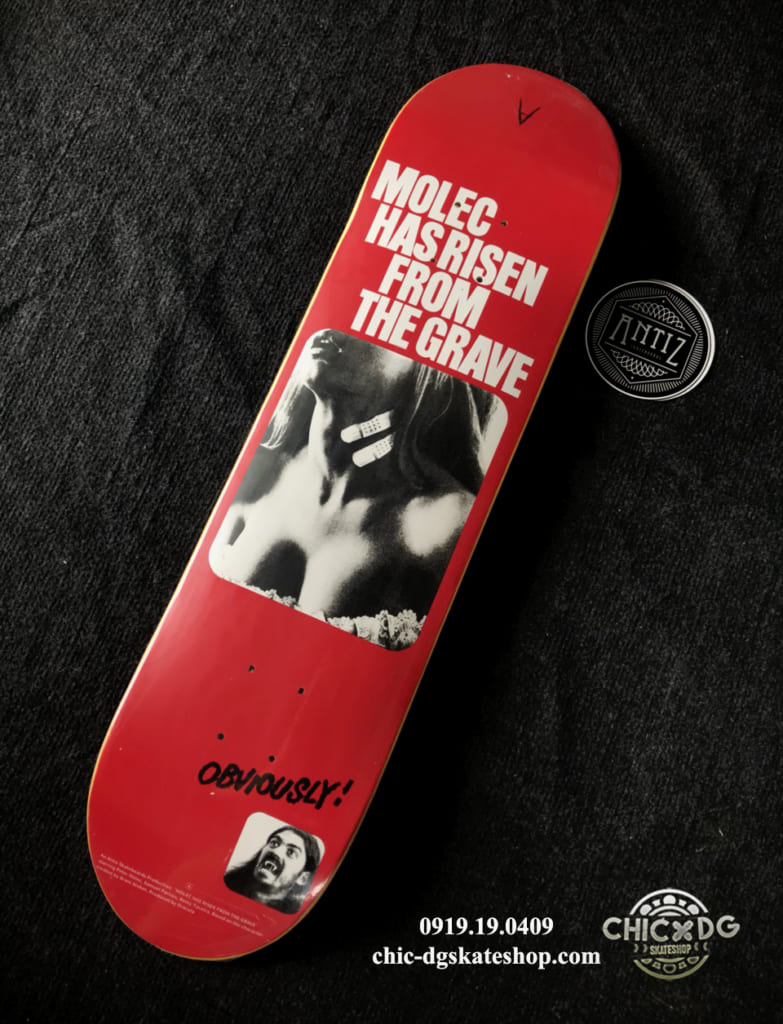 Ván trượt Antiz - French Skateboard best brand in Europe